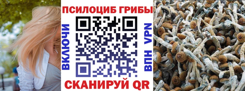 Псилоцибиновые грибы GOLDEN TEACHER  купить наркотик  Апшеронск 