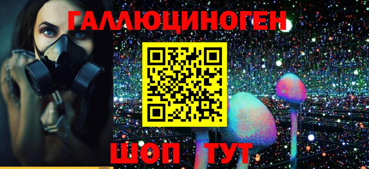 Псилоцибиновые грибы MAGIC MUSHROOMS  Апшеронск  Галлюциногенные грибы Psilocybine cubensis 