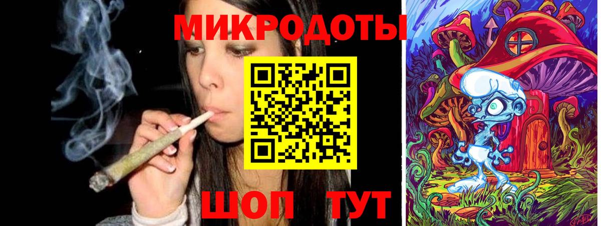 Псилоцибиновые грибы Psilocybe Апшеронск