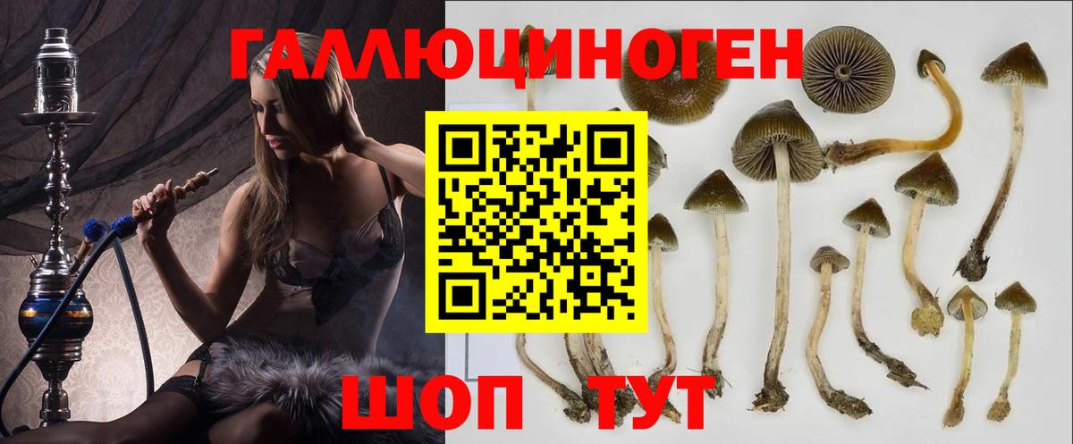 Галлюциногенные грибы Cubensis  Вход с VPN  как найти   Апшеронск 