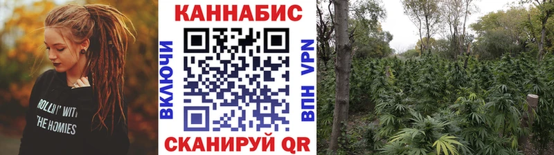 МАРИХУАНА Amnesia  где купить   Апшеронск 
